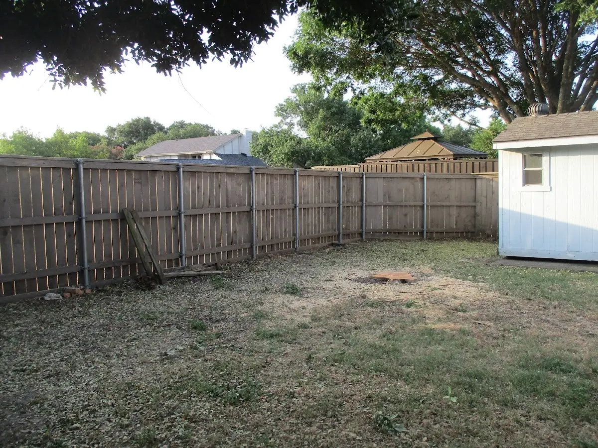 Cleared yard after professional tree removal in Sahuarita